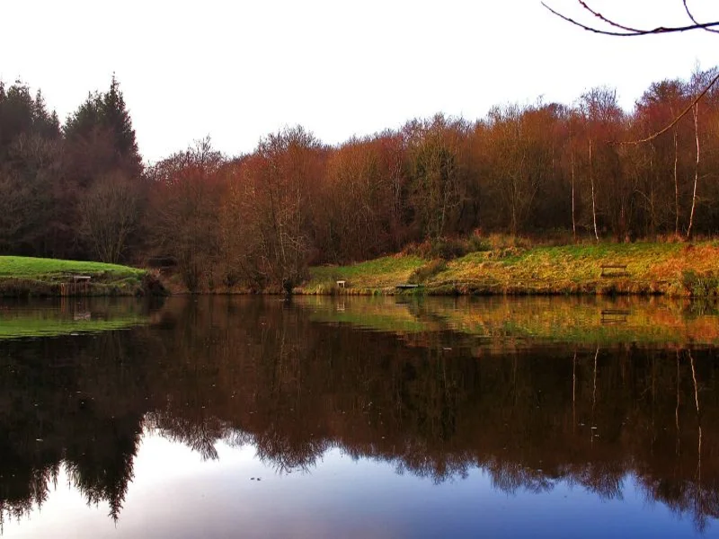 The lower lake at Otterhead on the Blackdown Hills